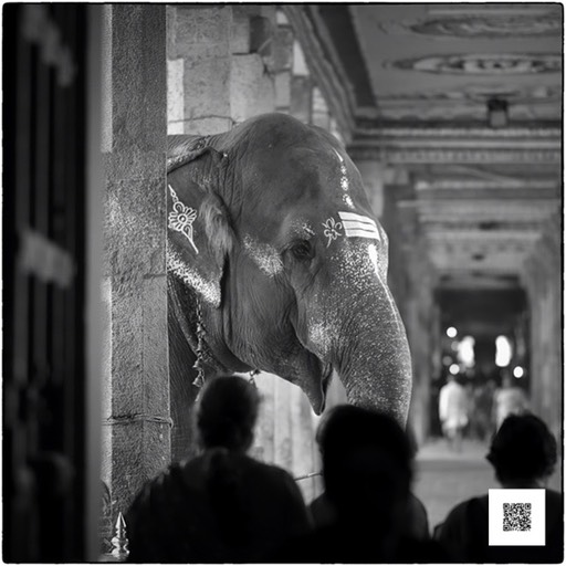 dscf6810 sd snapseed med