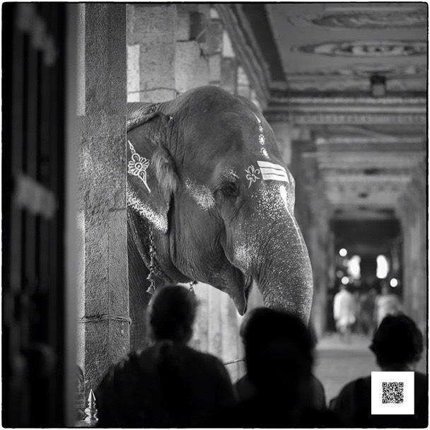 dscf6810 sd snapseed med