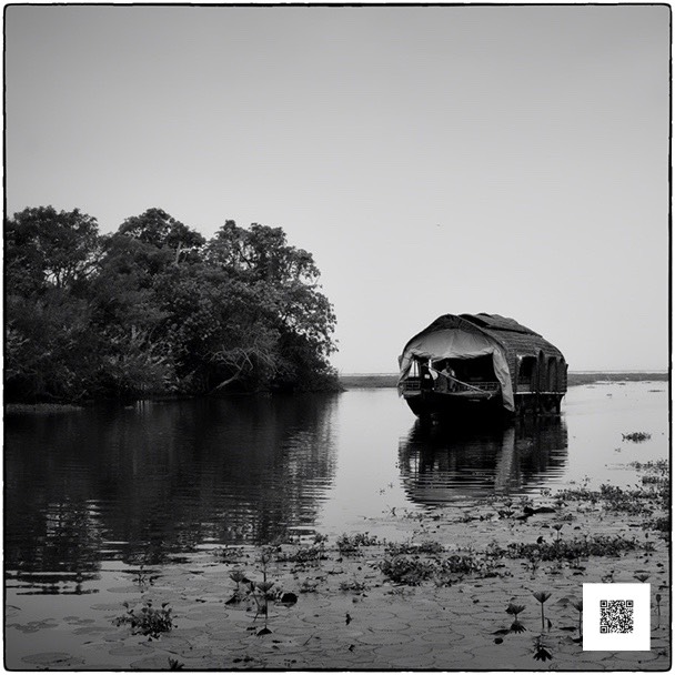 dscf7543 sd2 snapseed med