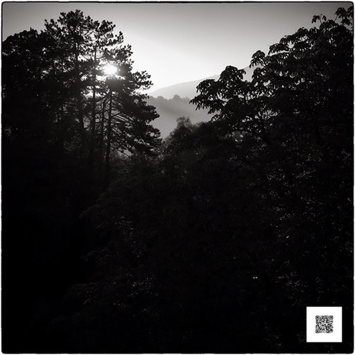 ndc upj 290916 snapseed-1 med