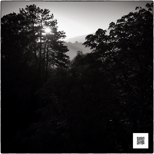 ndc upj 290916 snapseed-1 med