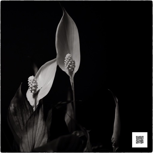 upj ndc 101116 snapseed-1 med