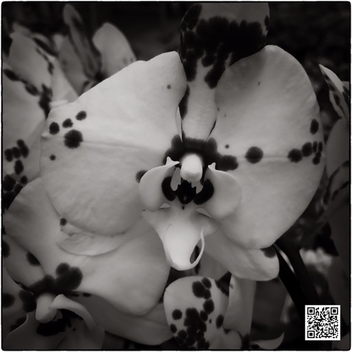 UPJ_NDC_201116_Snapseed