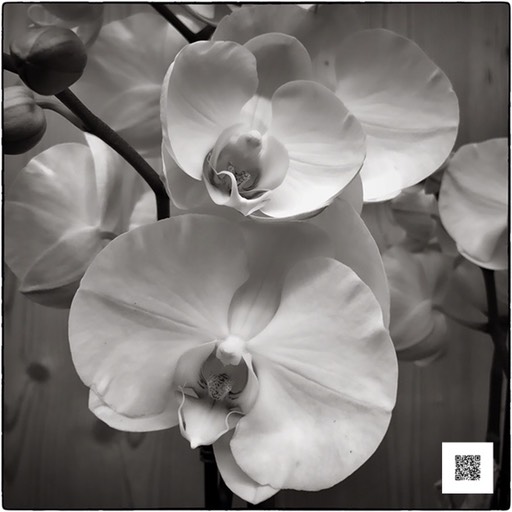 upj ndc 301016 snapseed-1 med